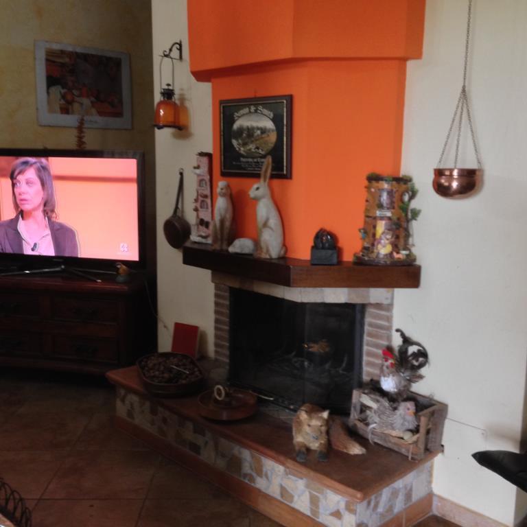 immagine annuncio 2 di 6
