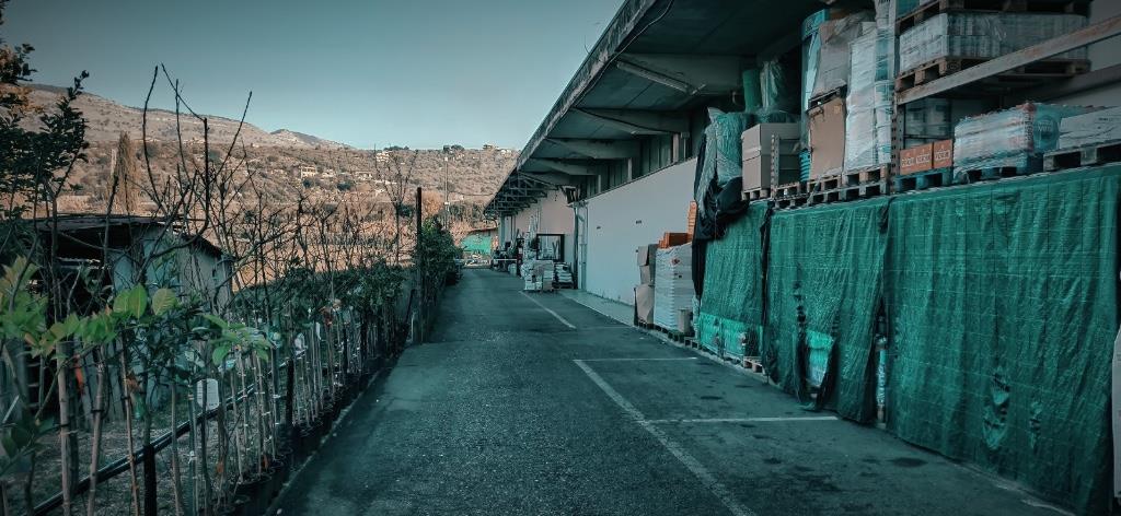 immagine annuncio 1 di 7