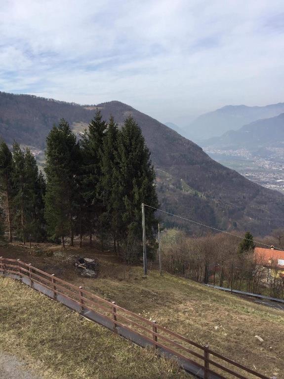 immagine annuncio 6 di 7