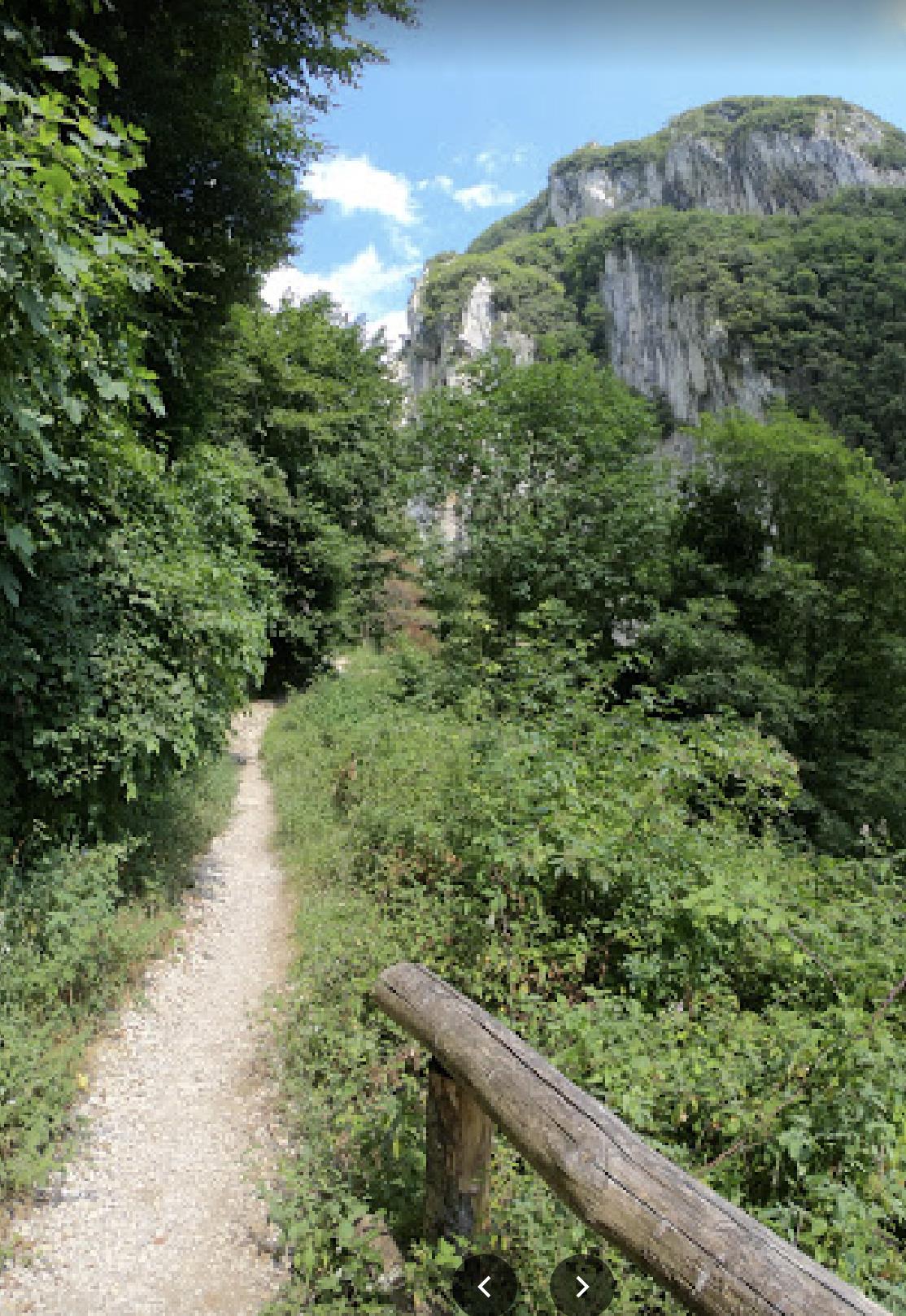 immagine annuncio 2 di 7