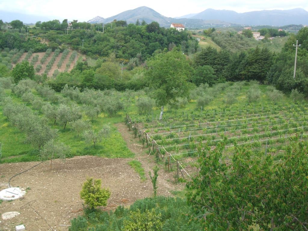 immagine annuncio 1 di 3