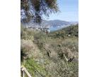 Foto - Rustico/Casale in Vendita a Santa Margherita Ligure (Genova)