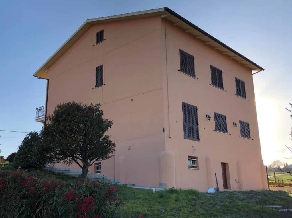 immagine annuncio 2 di 7