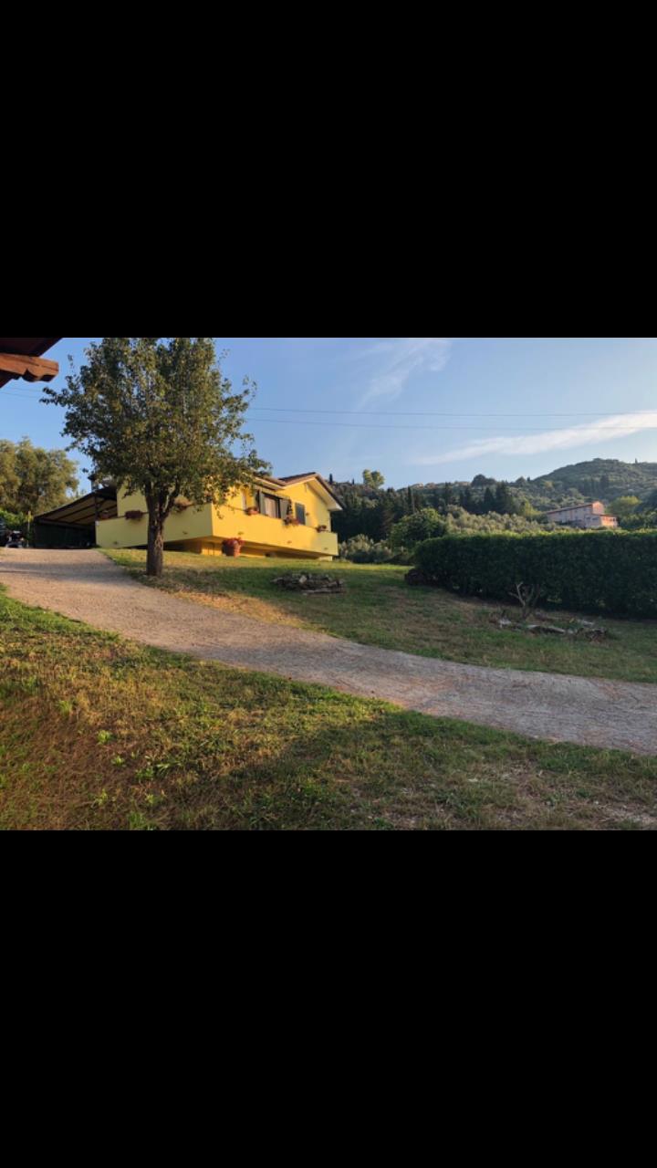 immagine annuncio 1 di 7