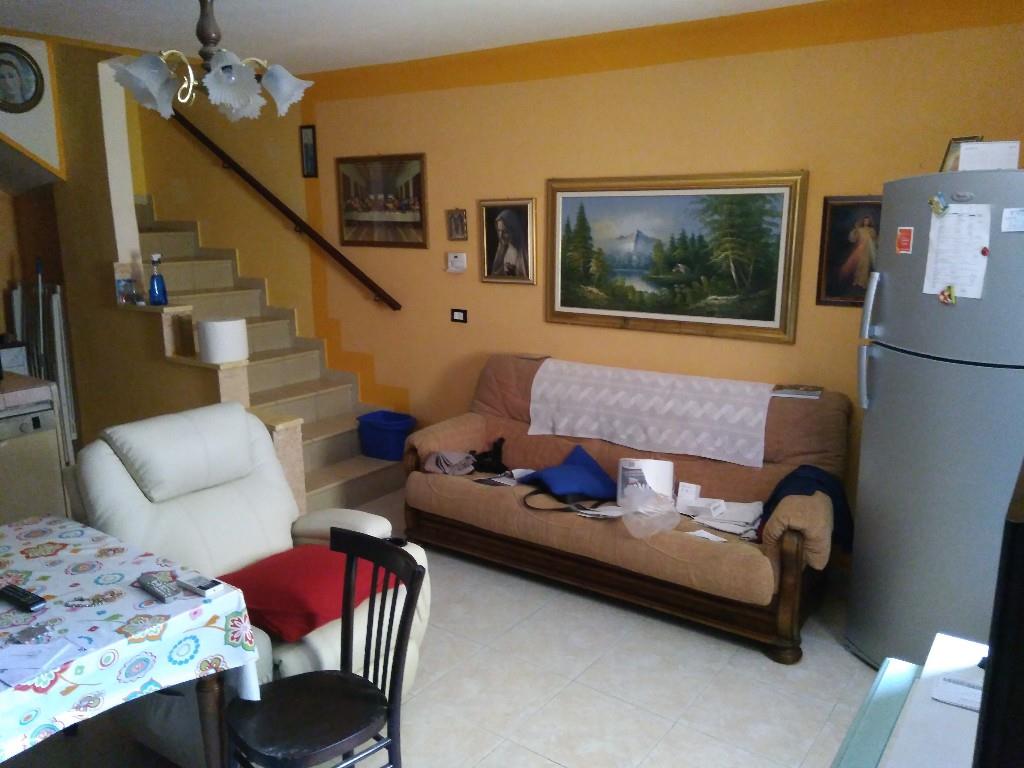 immagine annuncio 4 di 7