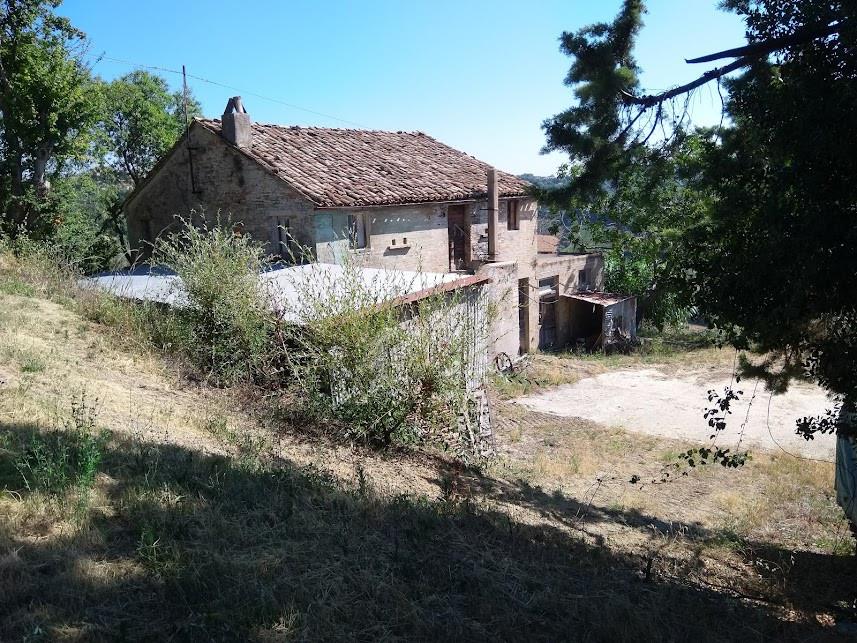 immagine annuncio 3 di 7