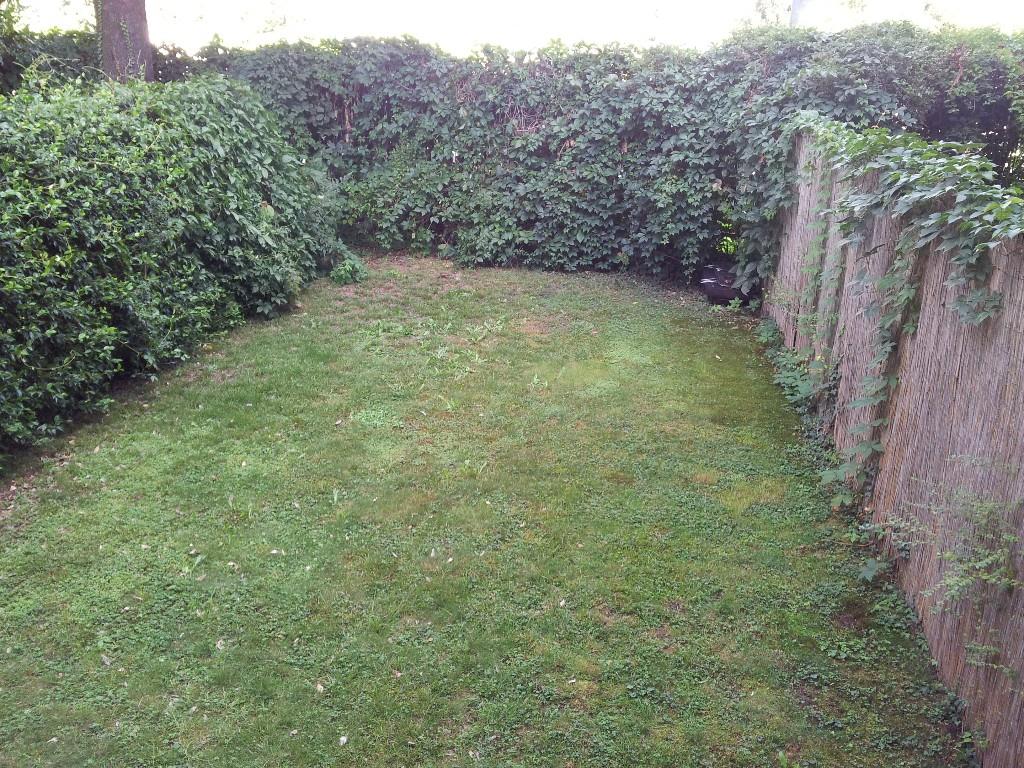 immagine annuncio 4 di 6