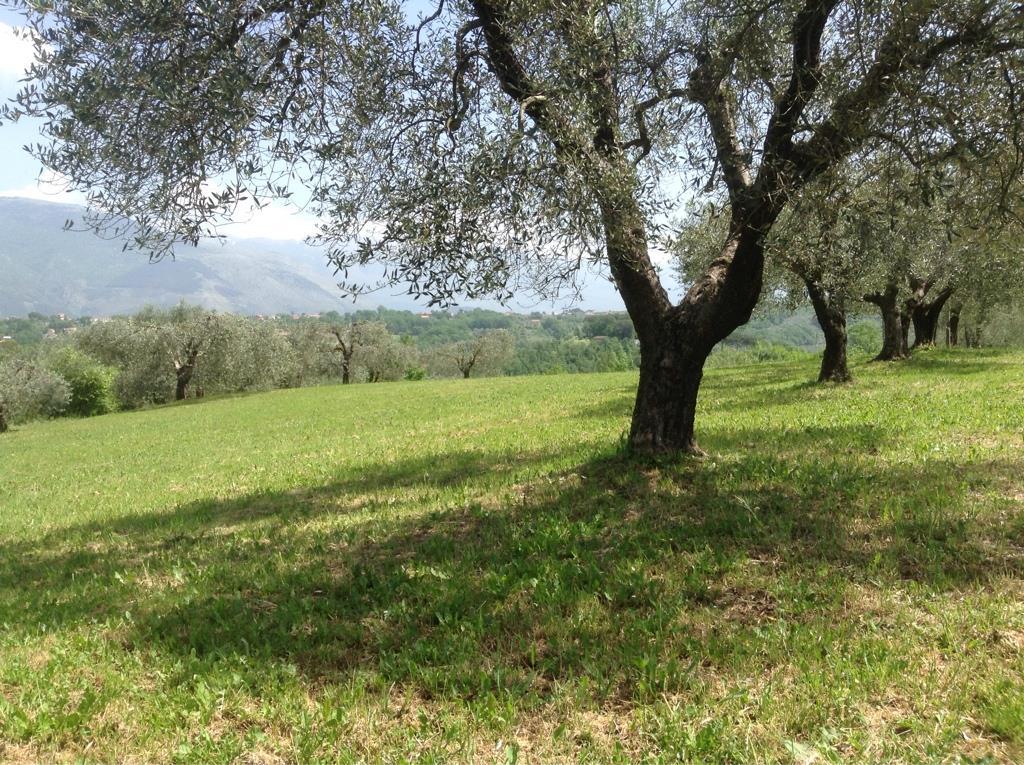 immagine annuncio 1 di 2