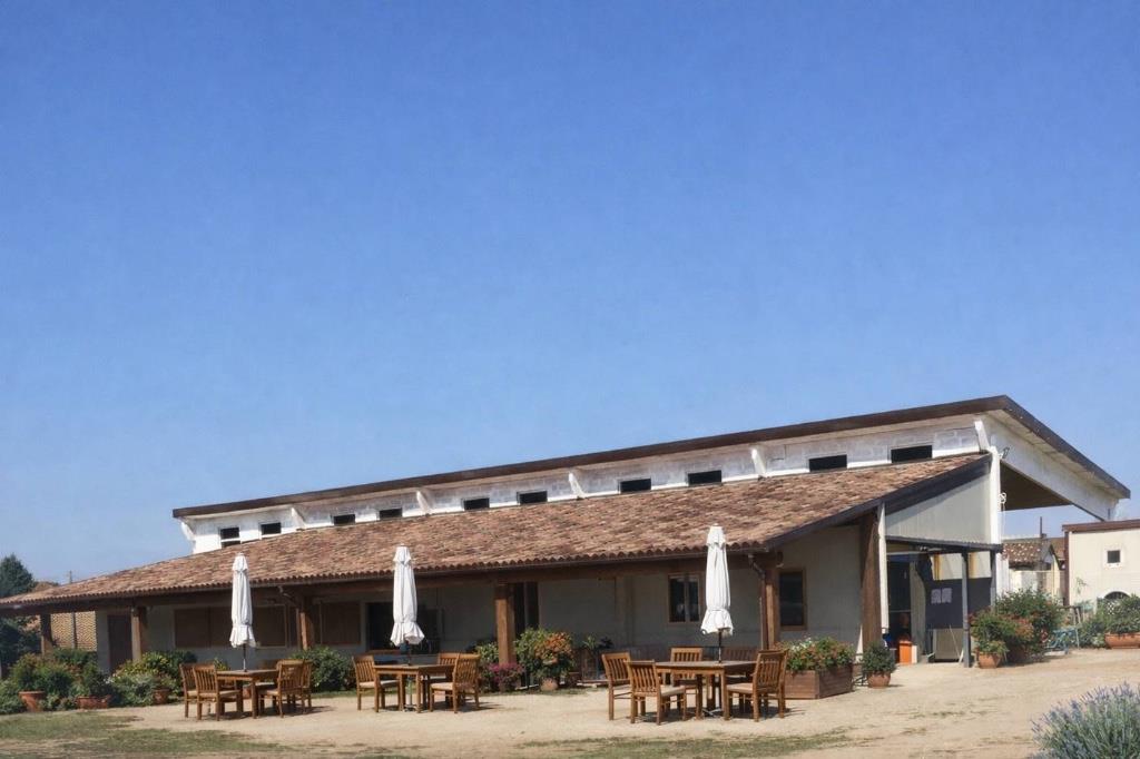 immagine annuncio 5 di 7