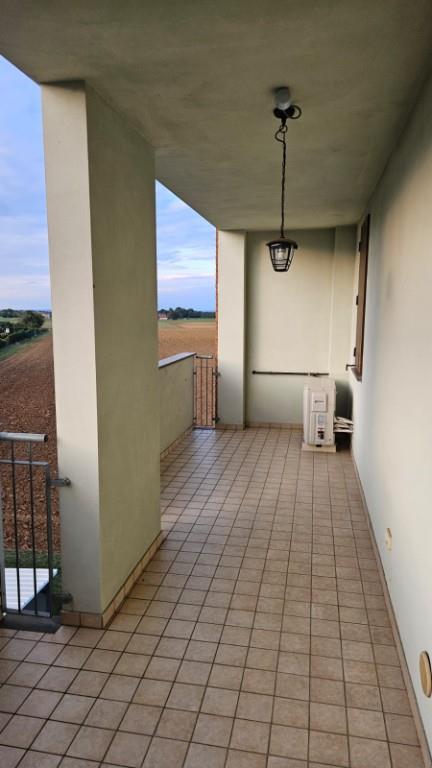 immagine annuncio 3 di 7