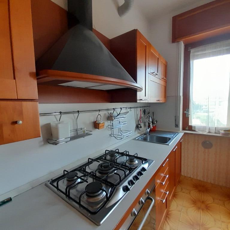 immagine annuncio 1 di 7