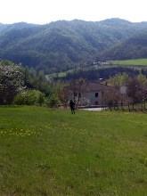 immagine annuncio 5 di 7