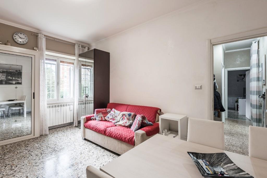 immagine annuncio 4 di 7