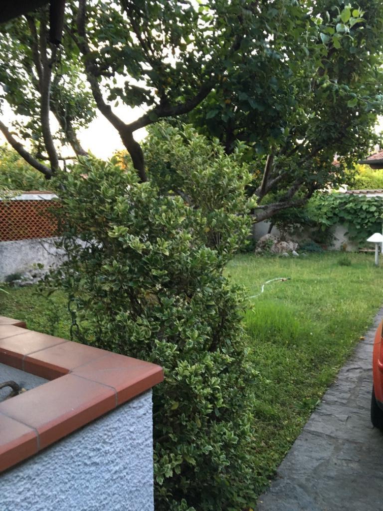 immagine annuncio 5 di 7