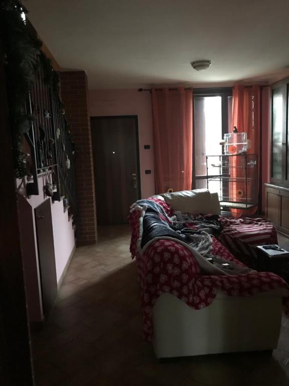 immagine annuncio 2 di 7