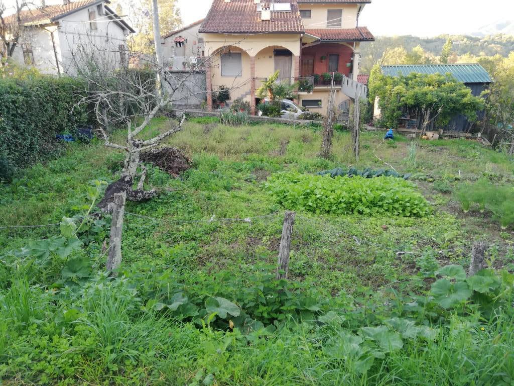 immagine annuncio 3 di 7