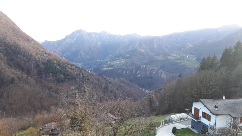 immagine annuncio 4 di 7