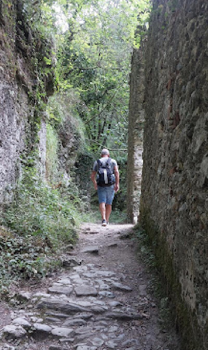 immagine annuncio 3 di 7