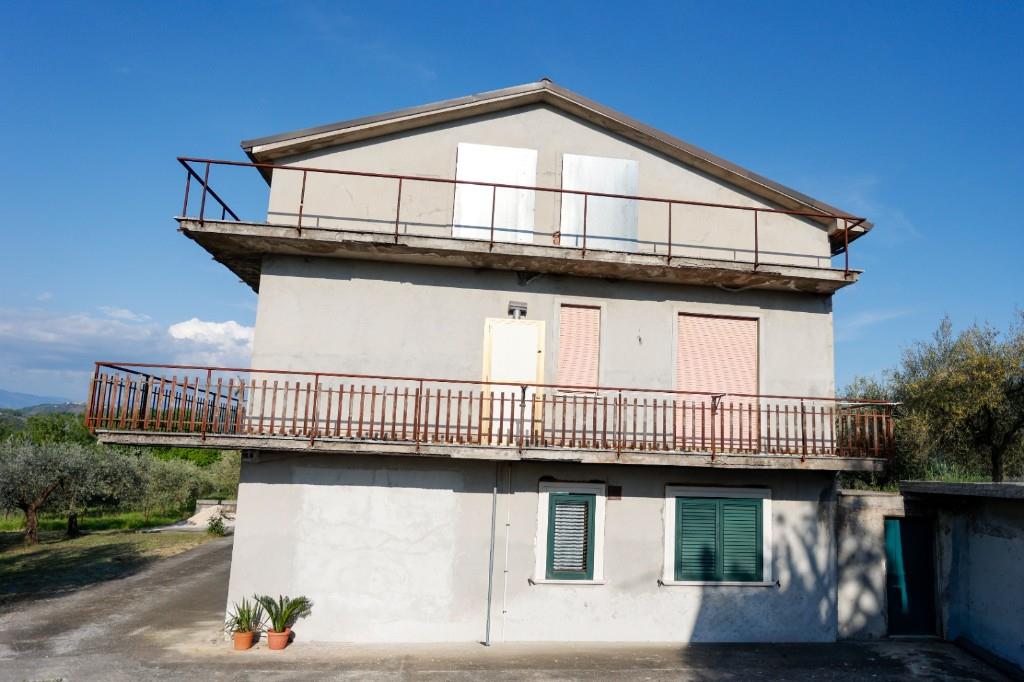 immagine annuncio 4 di 7