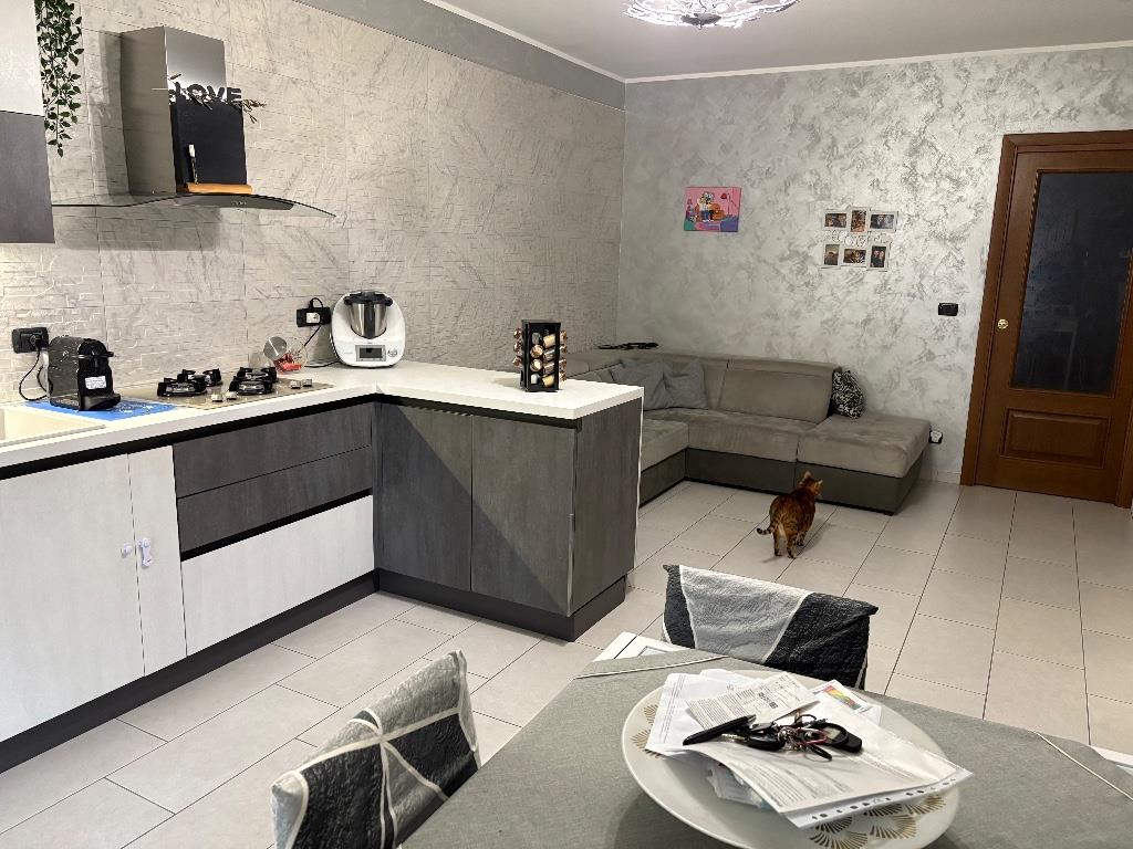 immagine annuncio 1 di 7