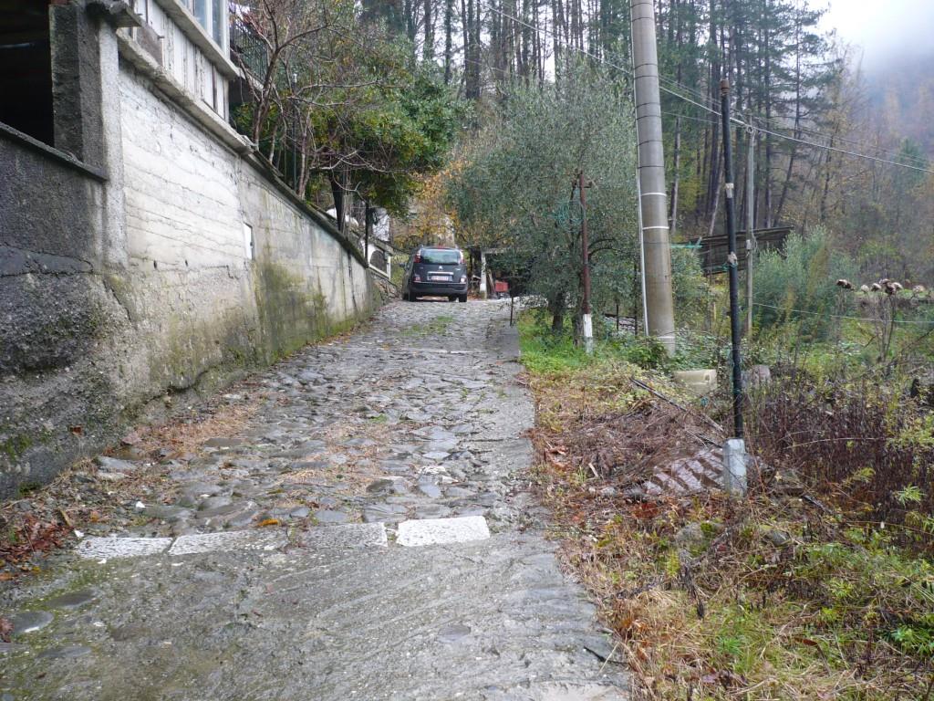 immagine annuncio 2 di 7