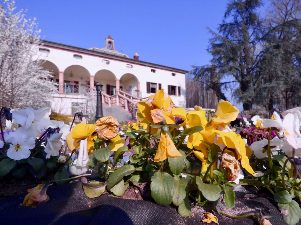 immagine annuncio 1 di 7