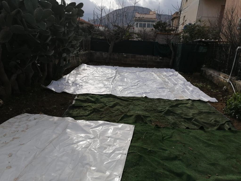immagine annuncio 4 di 7