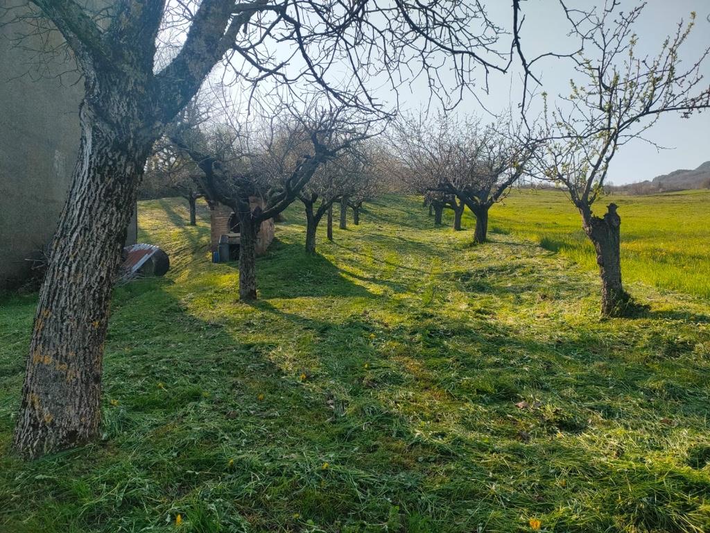 immagine annuncio 3 di 4