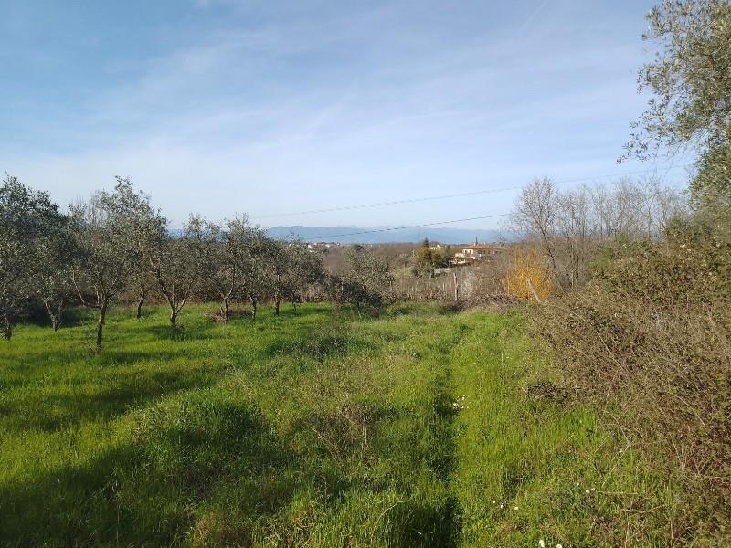 immagine annuncio 4 di 7