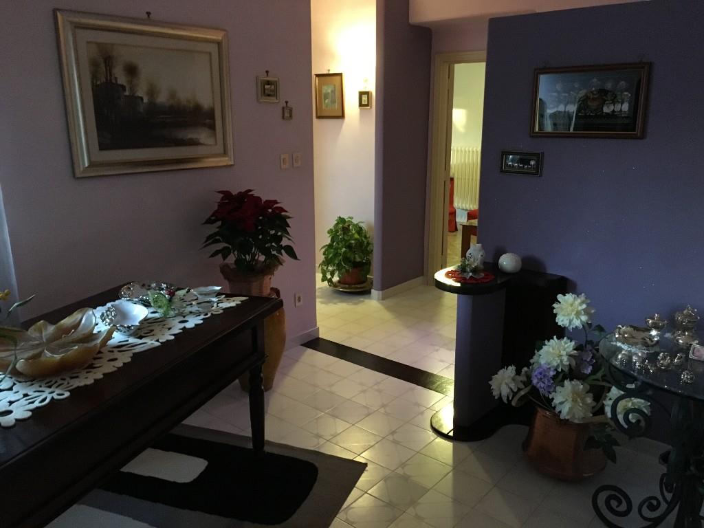 immagine annuncio 4 di 7