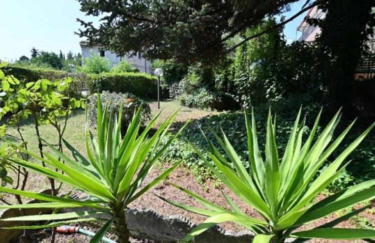 immagine annuncio 2 di 7