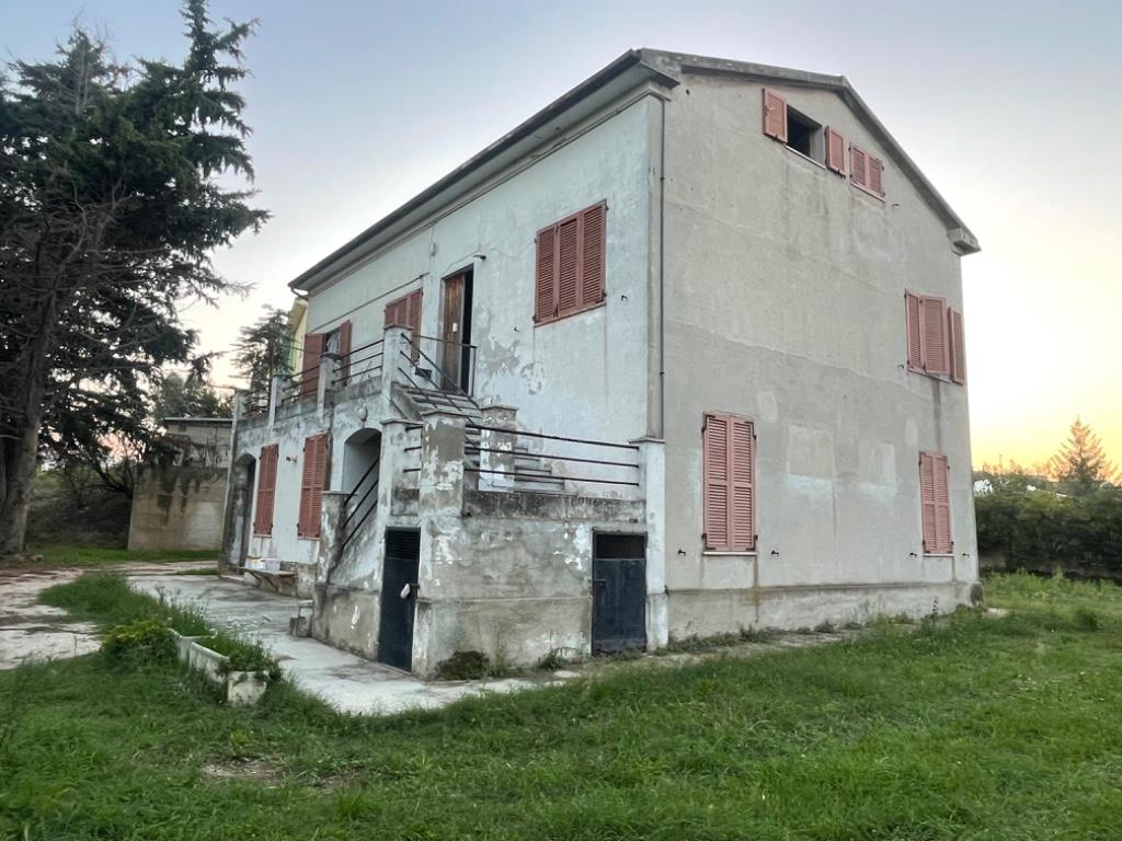 immagine annuncio 4 di 6