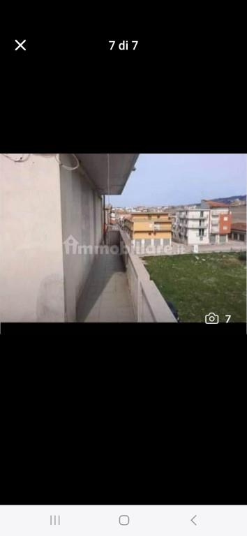 immagine annuncio 5 di 6