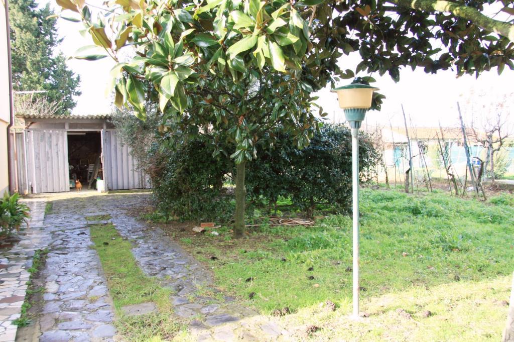 immagine annuncio 6 di 7