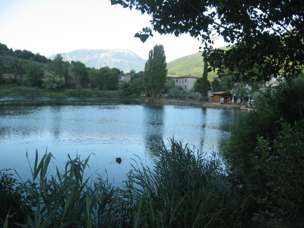 immagine annuncio 5 di 7