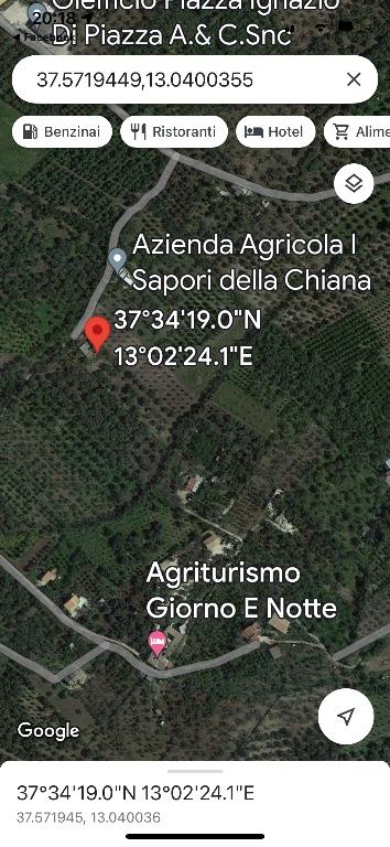 immagine annuncio 6 di 7