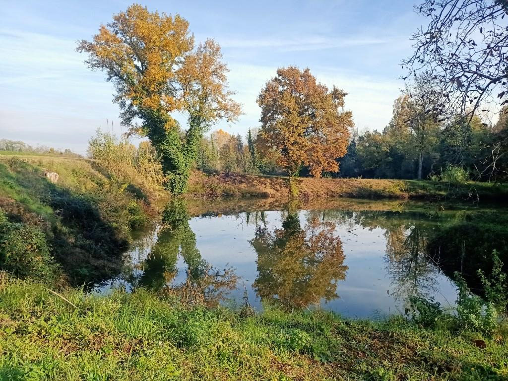 immagine annuncio 5 di 7