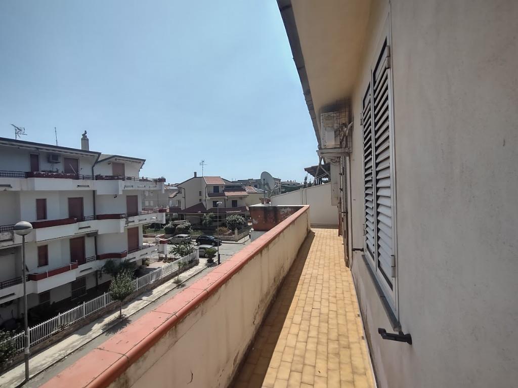 immagine annuncio 5 di 7