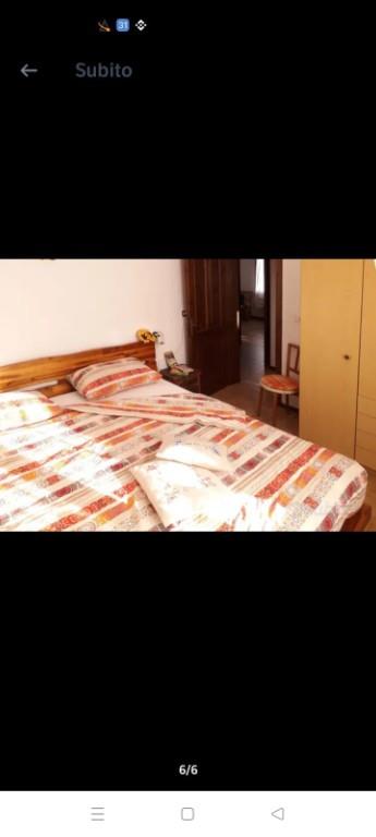 immagine annuncio 2 di 7