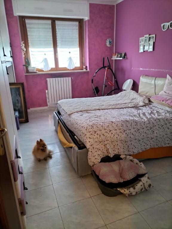 immagine annuncio 1 di 4