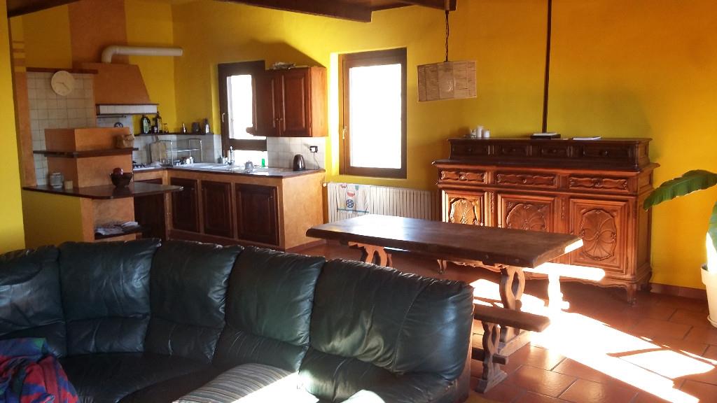 immagine annuncio 3 di 7
