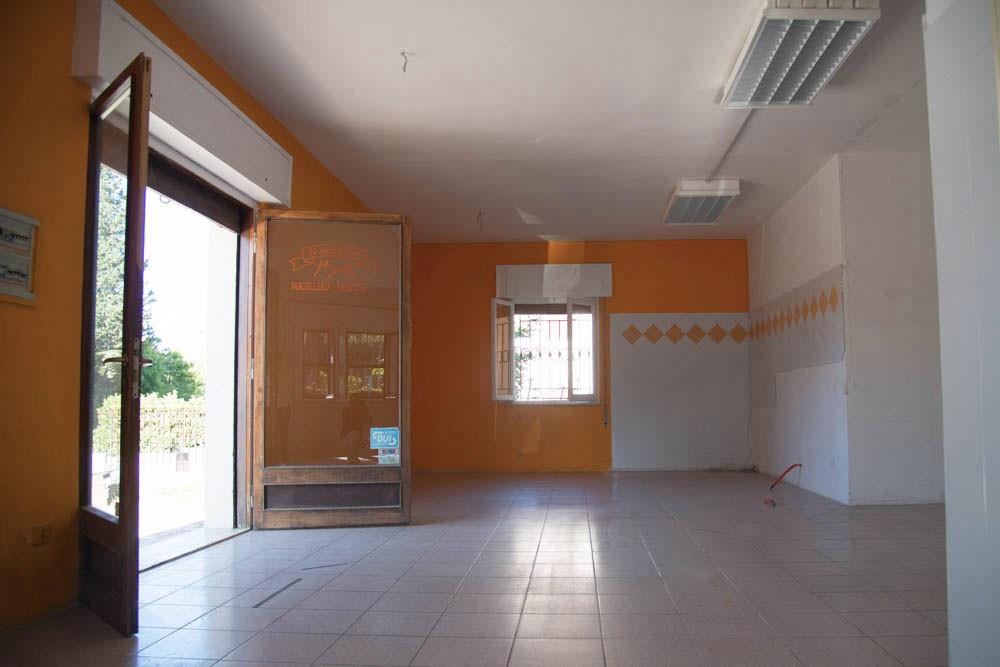 immagine annuncio 3 di 6