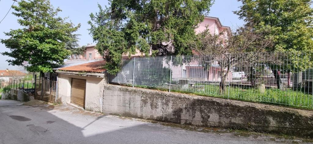immagine annuncio 2 di 7
