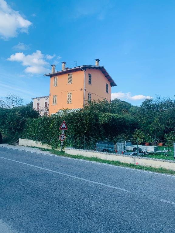 immagine annuncio 1 di 6