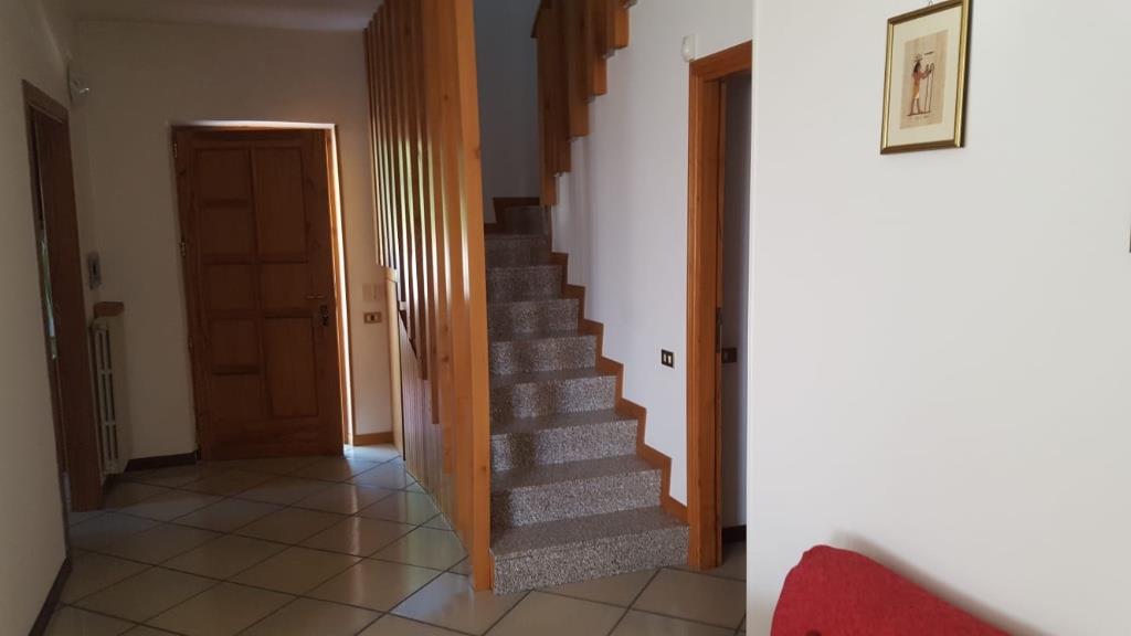 immagine annuncio 3 di 7