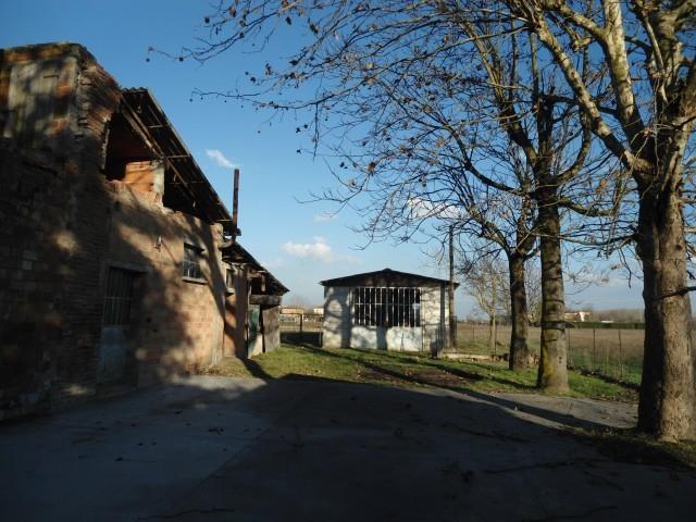 immagine annuncio 4 di 6
