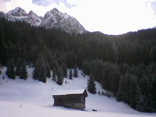 immagine annuncio 4 di 7