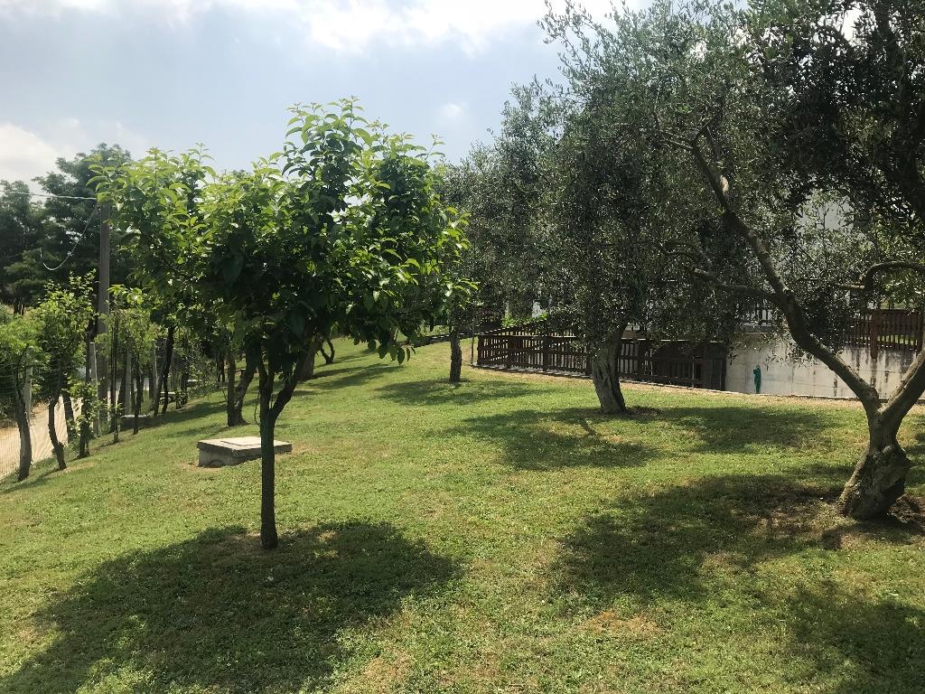 immagine annuncio 2 di 6