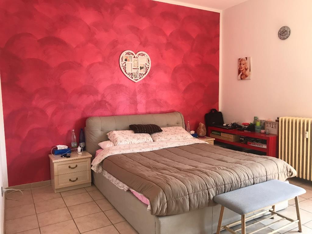 immagine annuncio 5 di 7