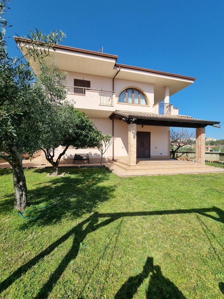 immagine annuncio 5 di 7